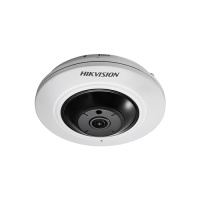 Camera IP Fisheye HIKVISION DS-2CD2935FWD-I